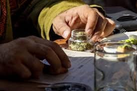 Weed in Rajkot